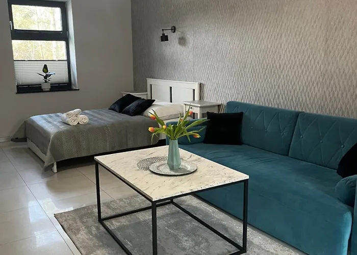 Apartamenty na Blichu - Noclegi Energylandia Zator